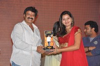 Legend Grand Successmeet Stills